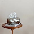 Ceramic Tissue Box Holder Creative Desktop Decor High-end Tabletop Tissue Storage for Living Room